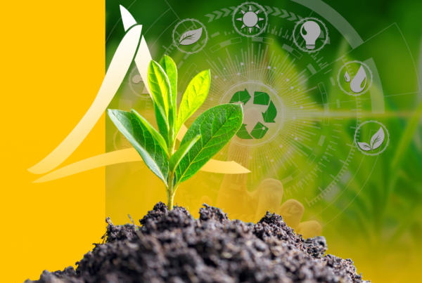 Lapiendrius reforça compromisso com práticas ESG